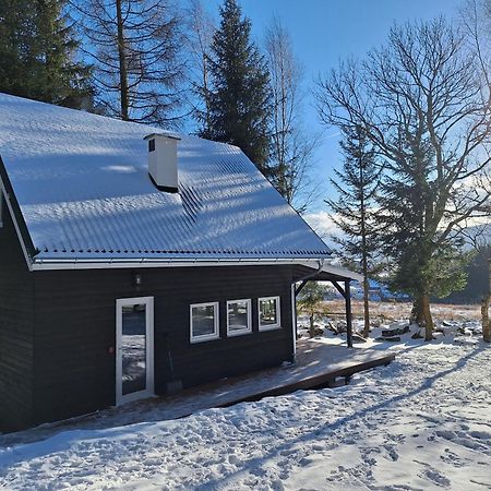 Domek Dorota Z Widokiem Na Gory Lasowka 5Km Do Zieleniec Ski Arena Экстерьер фото